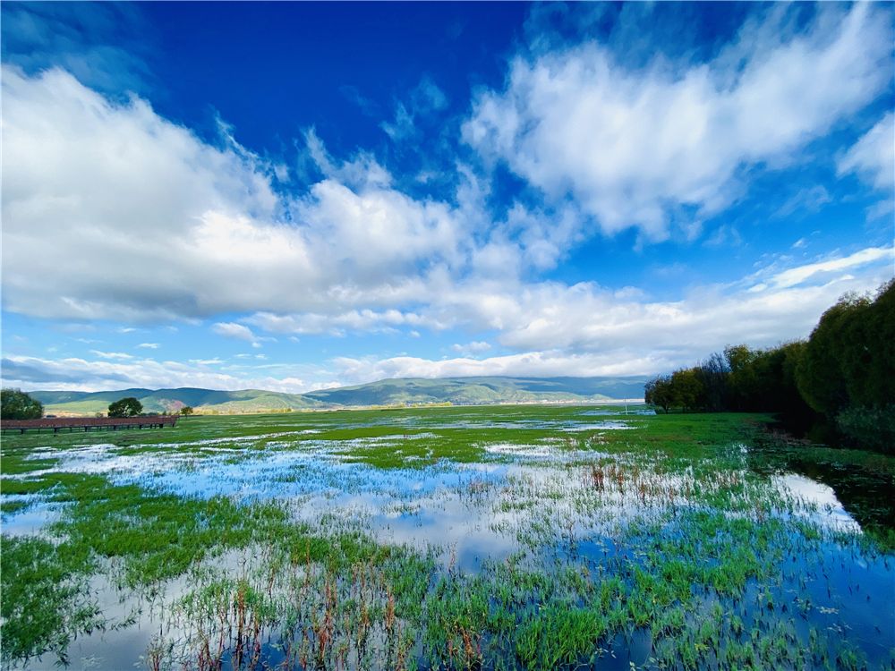 丽江拉市海