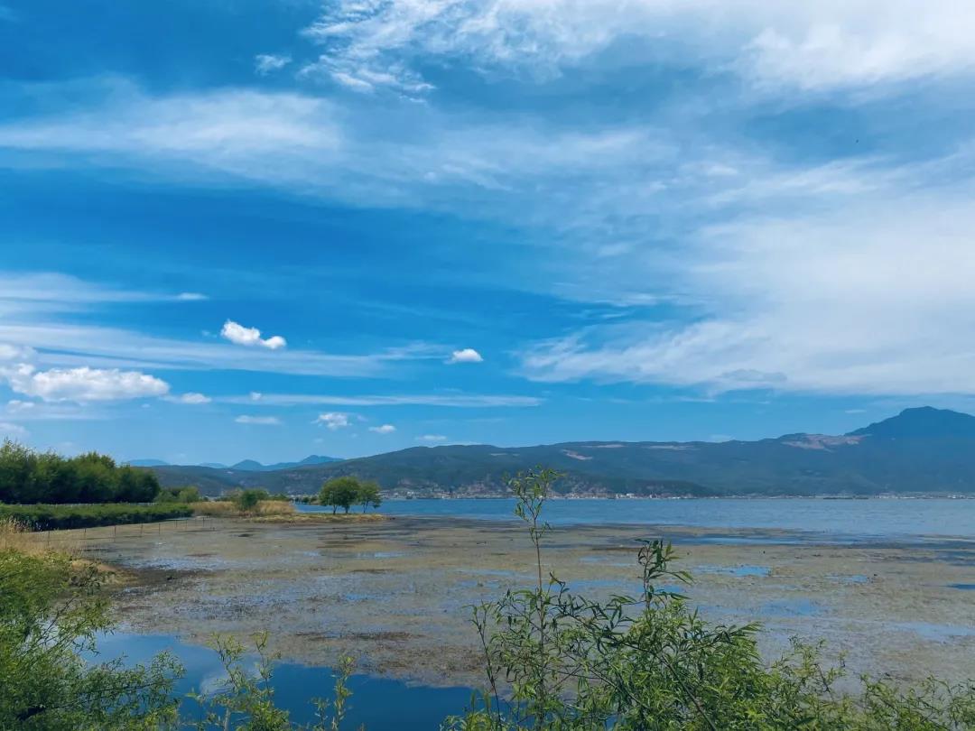丽江拉市海最美季节！放眼望去宛如画作~    丽江旅游攻略