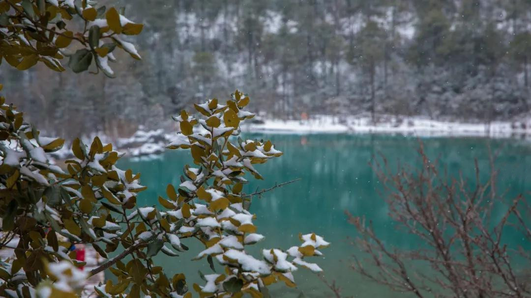 玉龙雪山蓝月谷