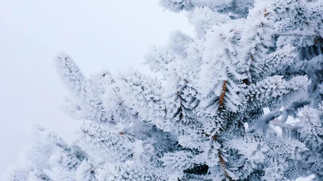 玉龙雪山