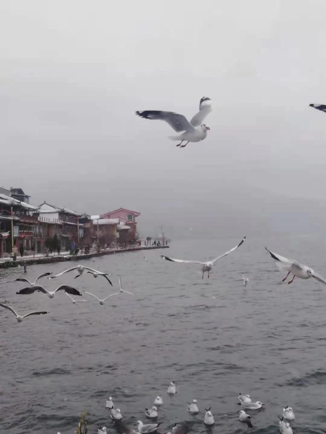 泸沽湖