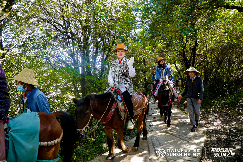 丽江拉市海茶马古道骑马团建