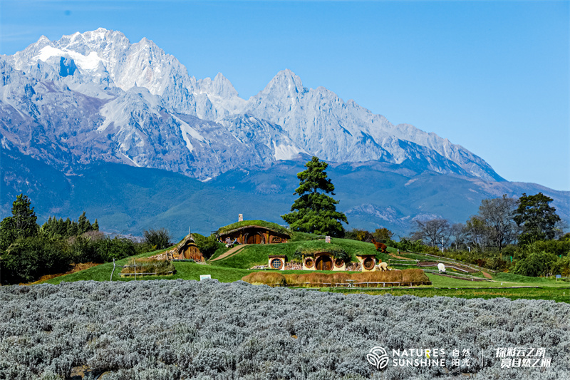 丽江听花谷景区