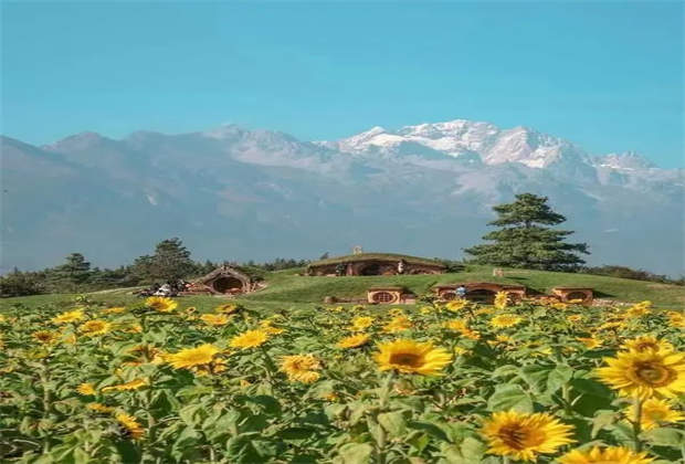 小心，来丽江玉龙雪山听花谷“听花”会上瘾