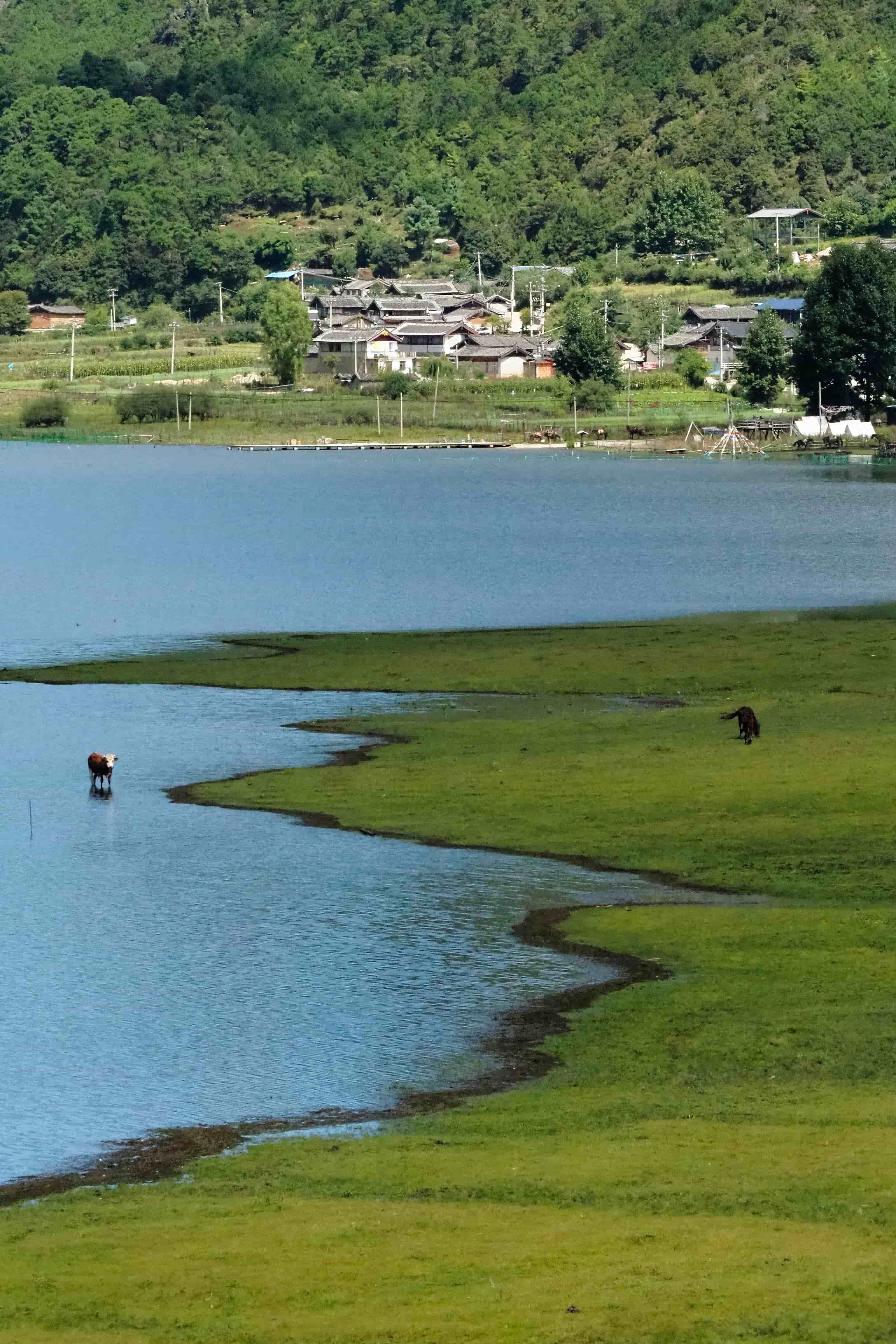 云南旅游,云南旅行社,云南团建公司,云南策划公司,云南会议会展,云南旅游地接,丽江旅游,丽江旅行社,丽江团建公司,丽江策划公司,丽江会议会展,丽江策划执行：丽江自驾游推荐小众秘境