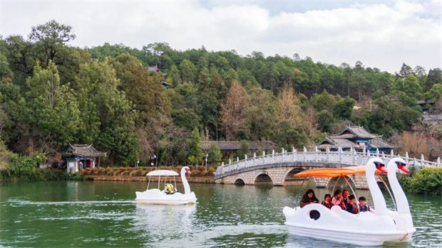 云南旅游,云南旅行社,云南团建公司,云南策划公司,丽江旅游,丽江旅行社,丽江团建公司：乘着春风暖意，一起去黑龙潭游船吧！