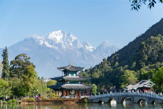 丽江旅游：绿绿绿，美美美！春夏之际的黑龙潭被绿色承包了